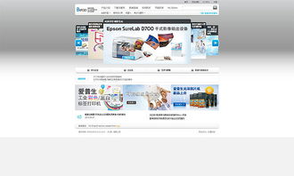 奔唐技術(shù)支持 印刷設(shè)備網(wǎng)站制作與天津網(wǎng)頁開發(fā)實踐